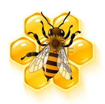 Poznávací výlet za vůní medu a historii včelařství - ilustrativní foto
